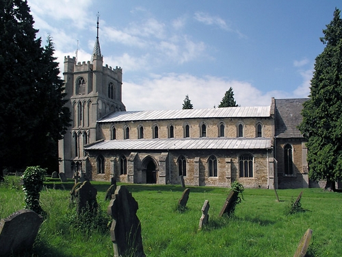 Elm - All Saints