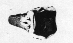 valdar21